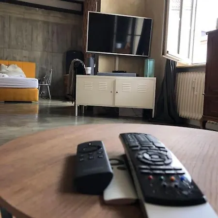 Industrial Style Loft In The Heart Of