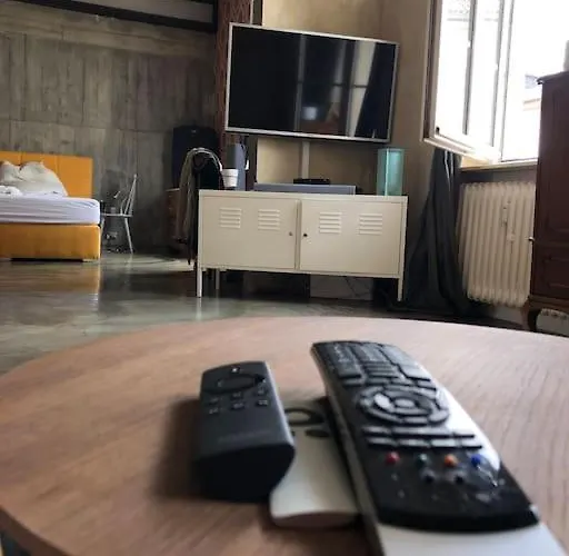 Industrial Style Loft In The Heart Of